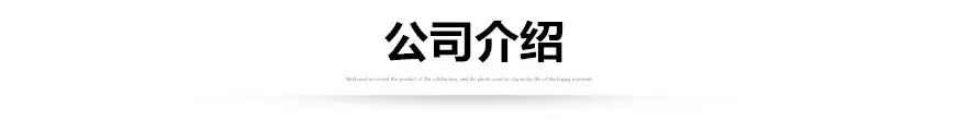 公司介绍