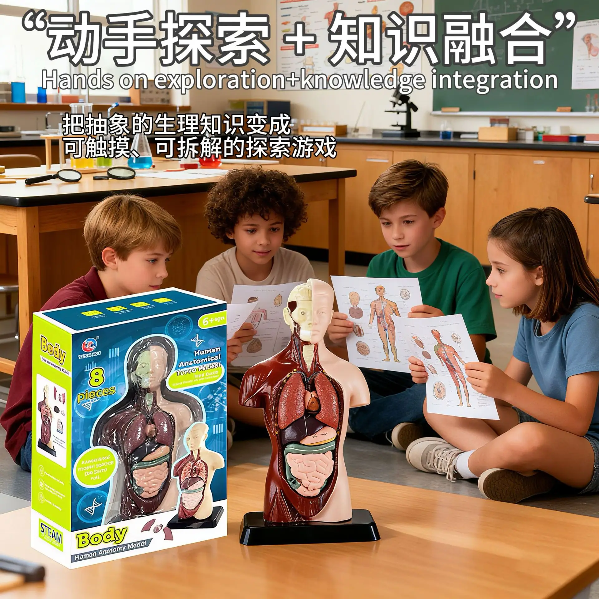 Transparent Human Blood Vessel Model for Kids Science Toy — feature 2