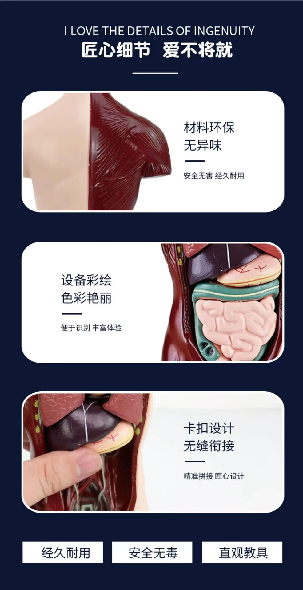 Transparent Human Blood Vessel Model for Kids Science Toy — feature 9