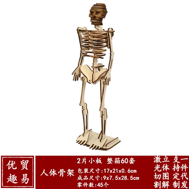 1人体骨架-尺寸图
