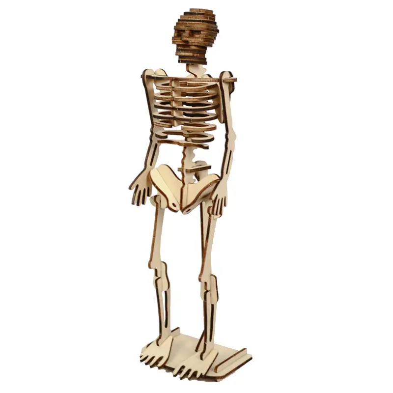 Children's 3D Wooden Skeleton Science Toy