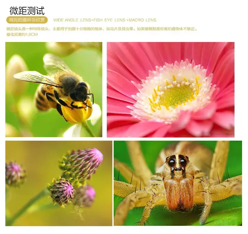 Three-in-One Wide Macro Fisheye Selfie Lens Set — feature 12