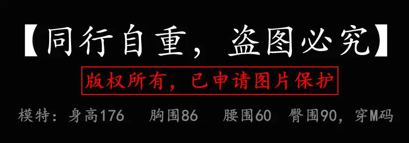 盗图必究
