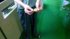 拉法1