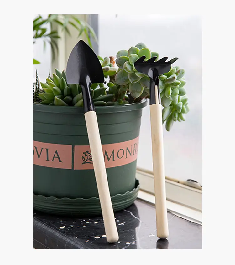 Wholesale garden flower fleshy garden planting tools set small shovel iron rake gardening set of three — feature 13