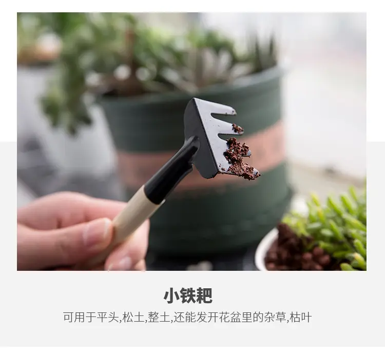 Wholesale garden flower fleshy garden planting tools set small shovel iron rake gardening set of three — feature 8