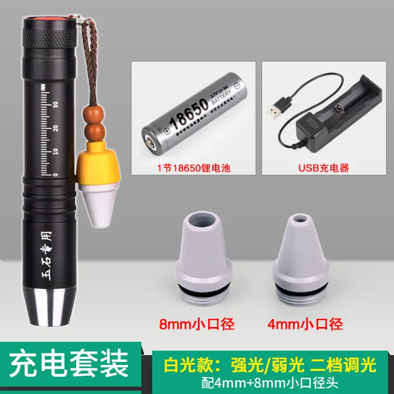 USB Rechargeable Flashlight with 4mm & 8mm Port
