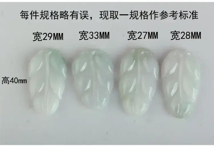 翡翠白色树叶描述_01.jpg