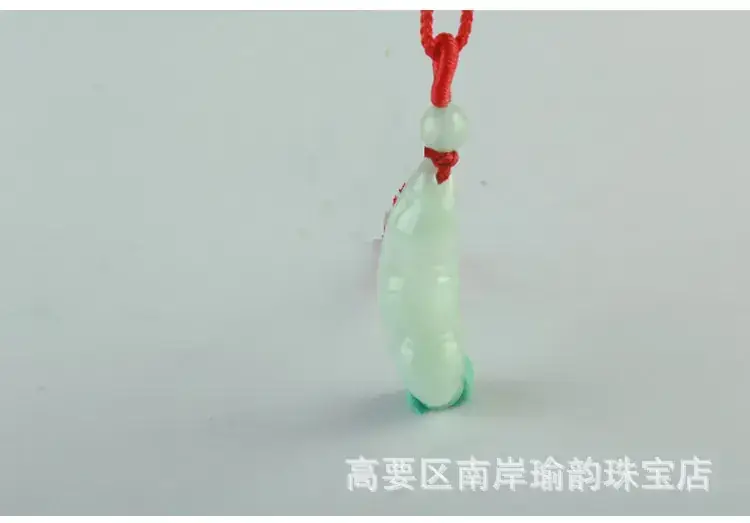 3四季豆描述_04.jpg