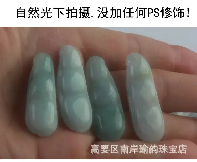 3四季豆描述_05.jpg