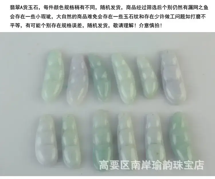 3四季豆描述_08.jpg