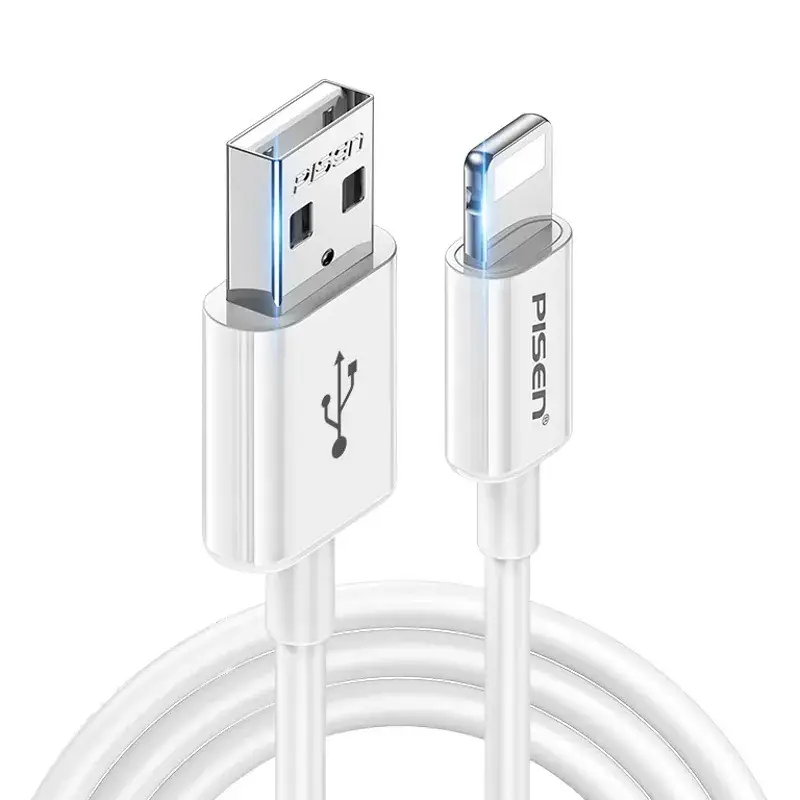 Pinsheng 3m USB-C to Lightning Cable Fast Charging