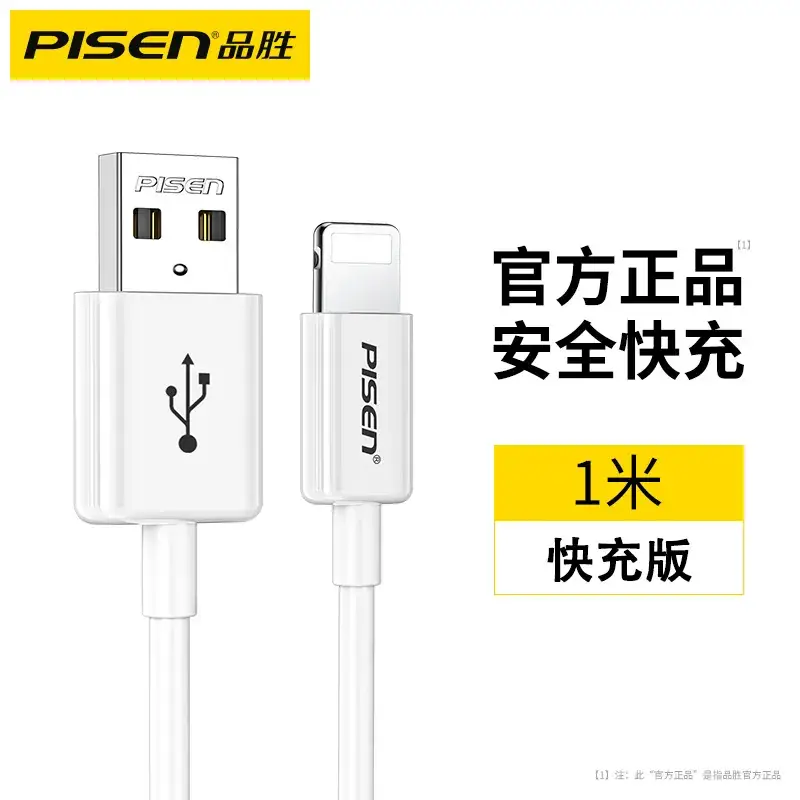Pinsheng 3m USB-C to Lightning Cable Fast Charging - Image 2