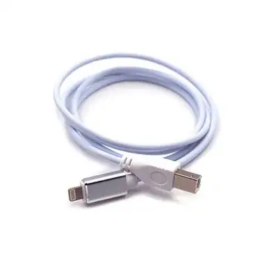 Apple Interface 1 m