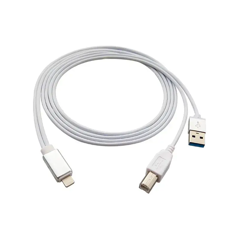 Apple Charging