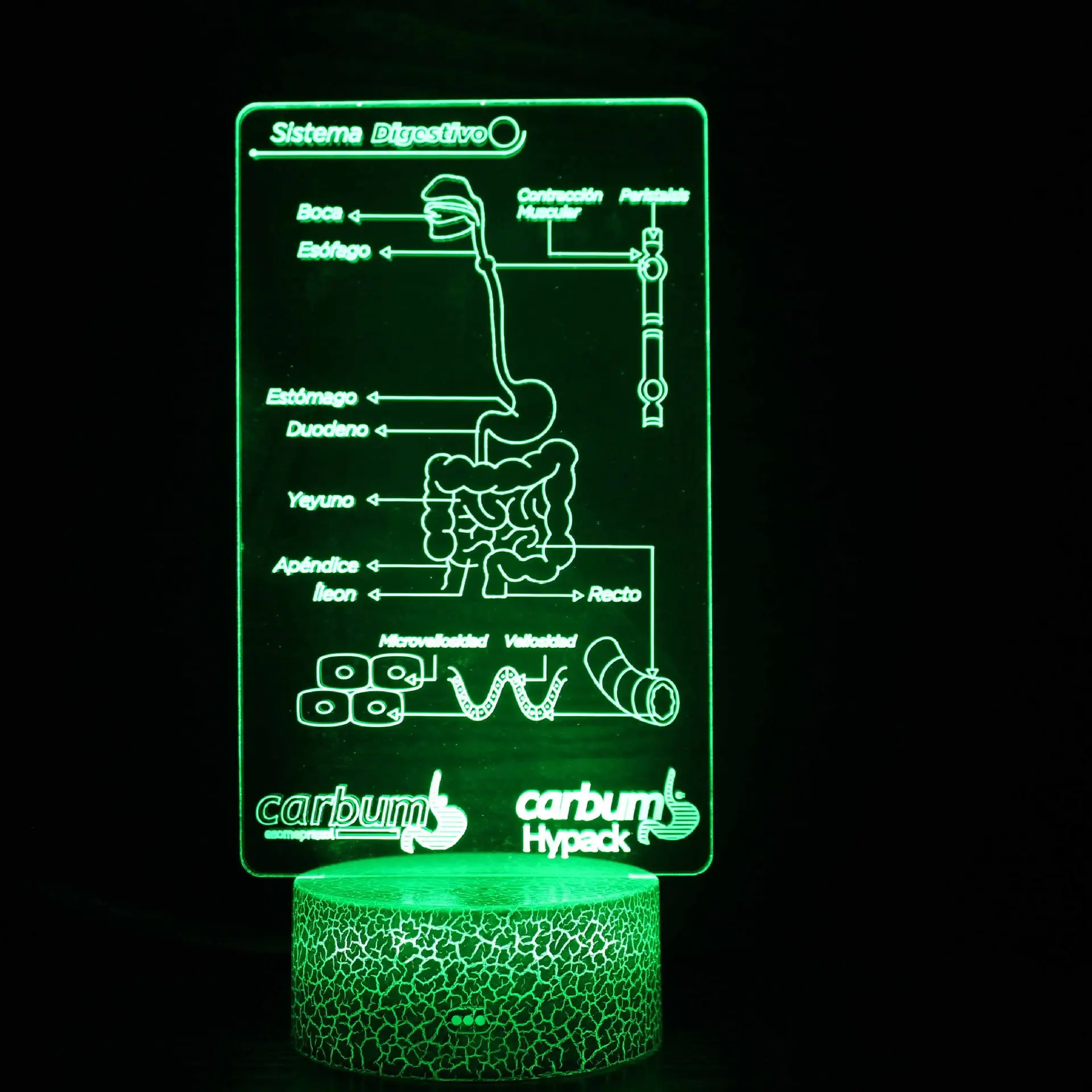 USB 3D Touch Light Brain Lamp Green Stereo Night Light - Image 8