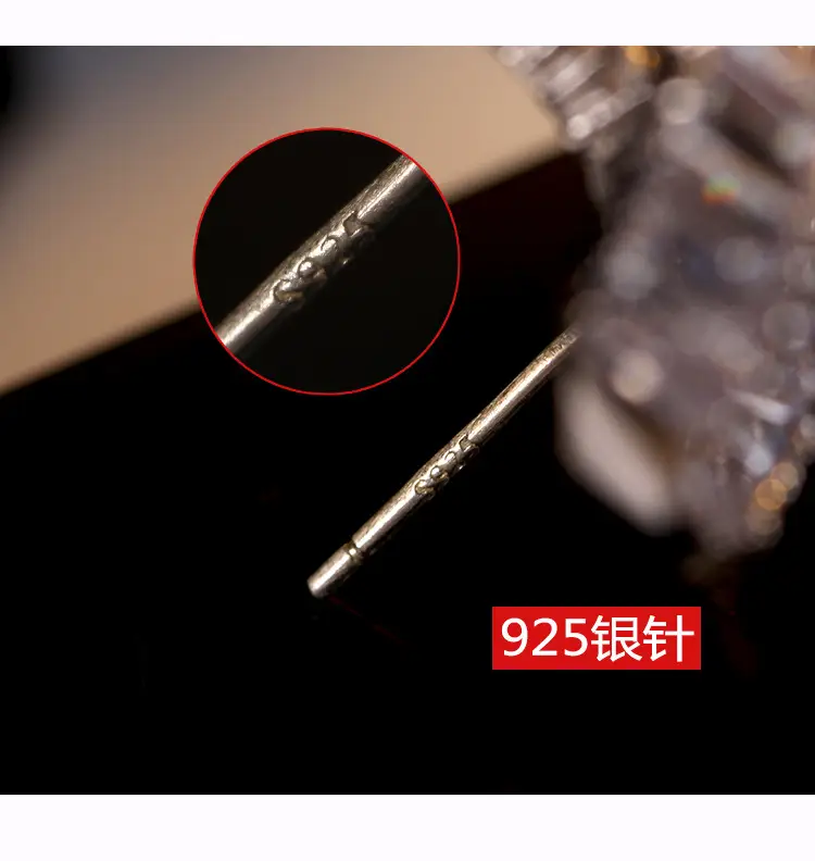 S925 Sterling Silver Zircon Stud Earrings Big Size - Image 9