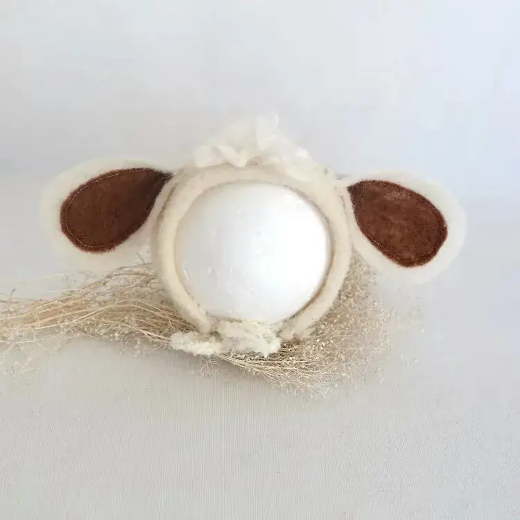 Newborn Baby Hat with Bear Ears for Baby Photography Studio