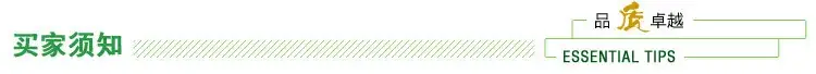 B.jpg