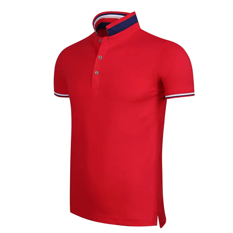 Men Light Blue Polo T-Shirt with Embroidered Logo - Image 2