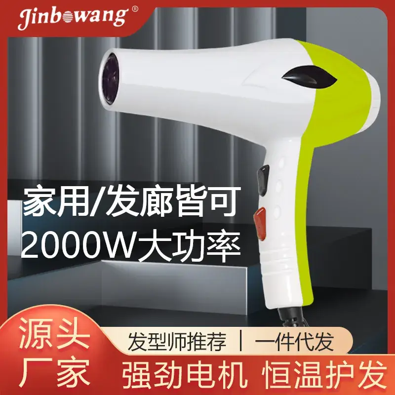 Jinbo Wang 2000W Hair Dryer for Home & Salon