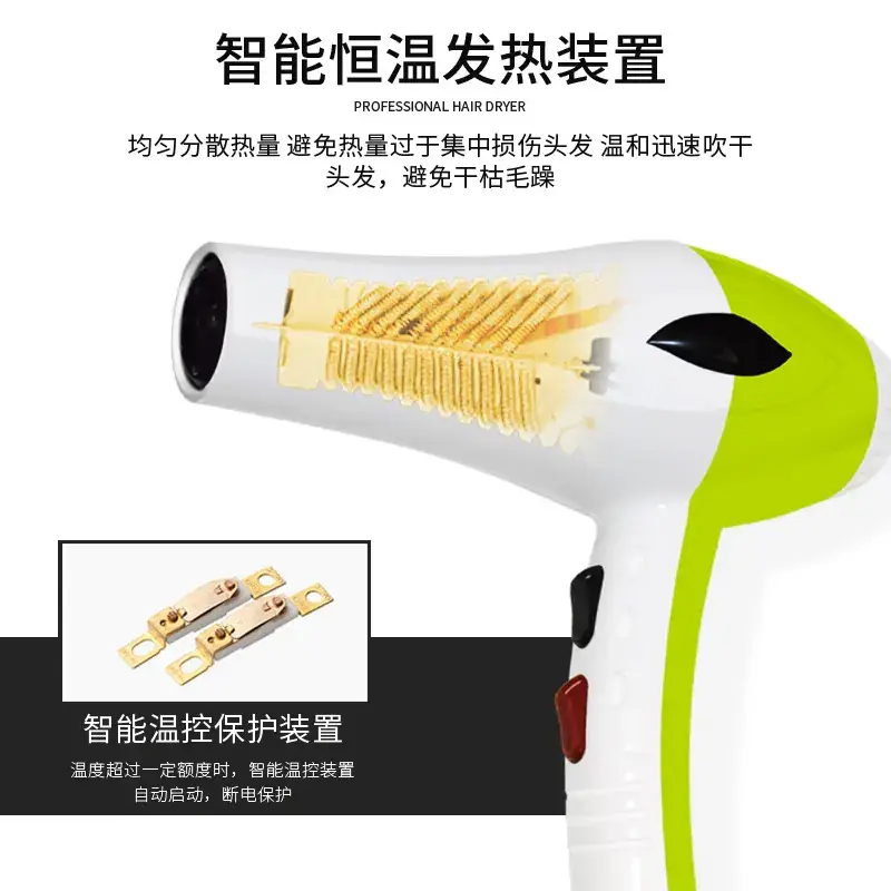 Jinbo Wang 2000W Hair Dryer for Home & Salon