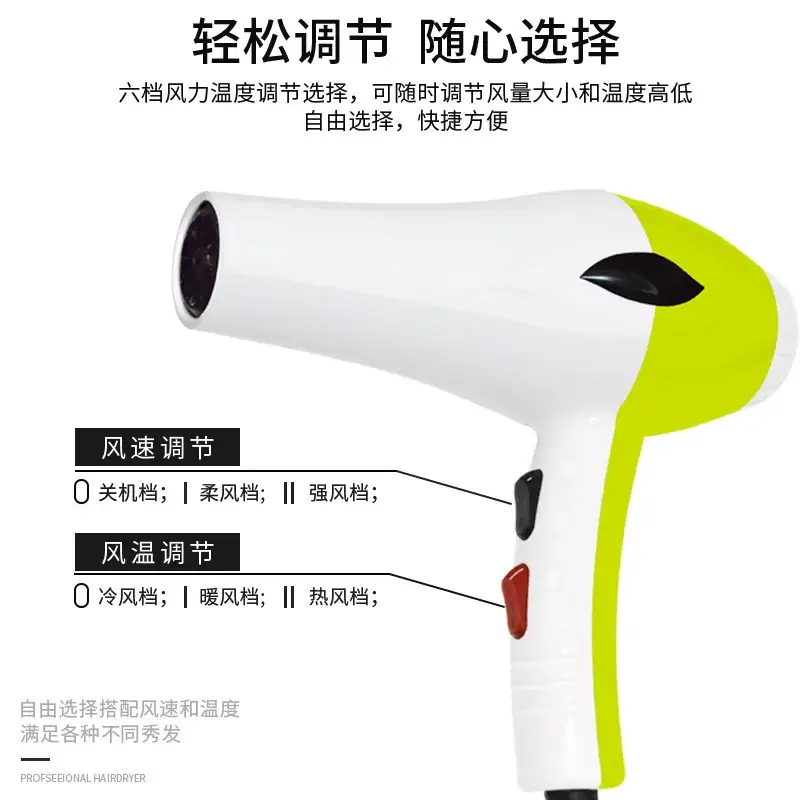 Jinbo Wang 2000W Hair Dryer for Home & Salon