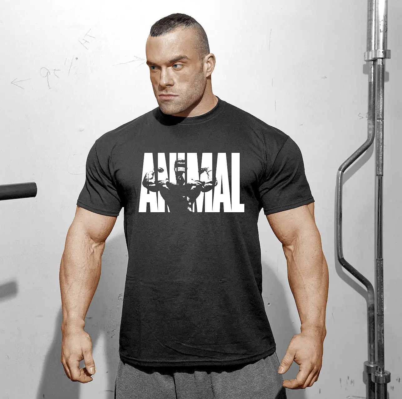 animaltshirt