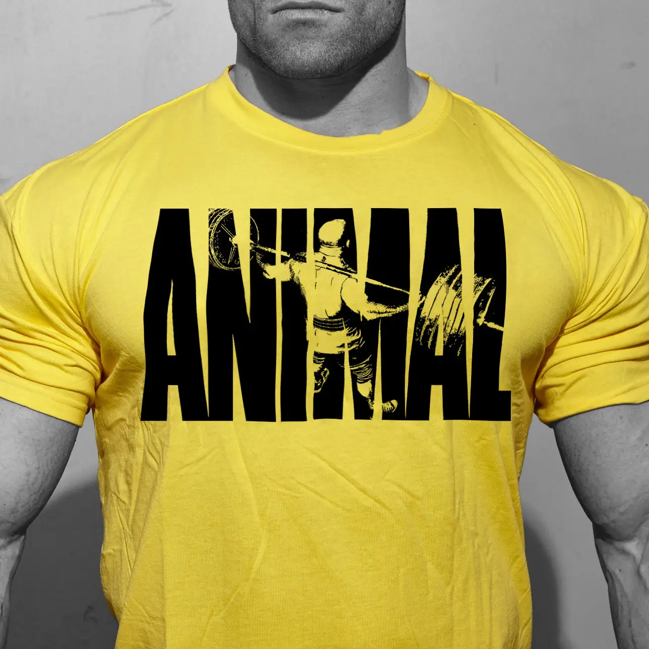 Men's Crossbody T-Shirt ANIMAL 2018 Grey