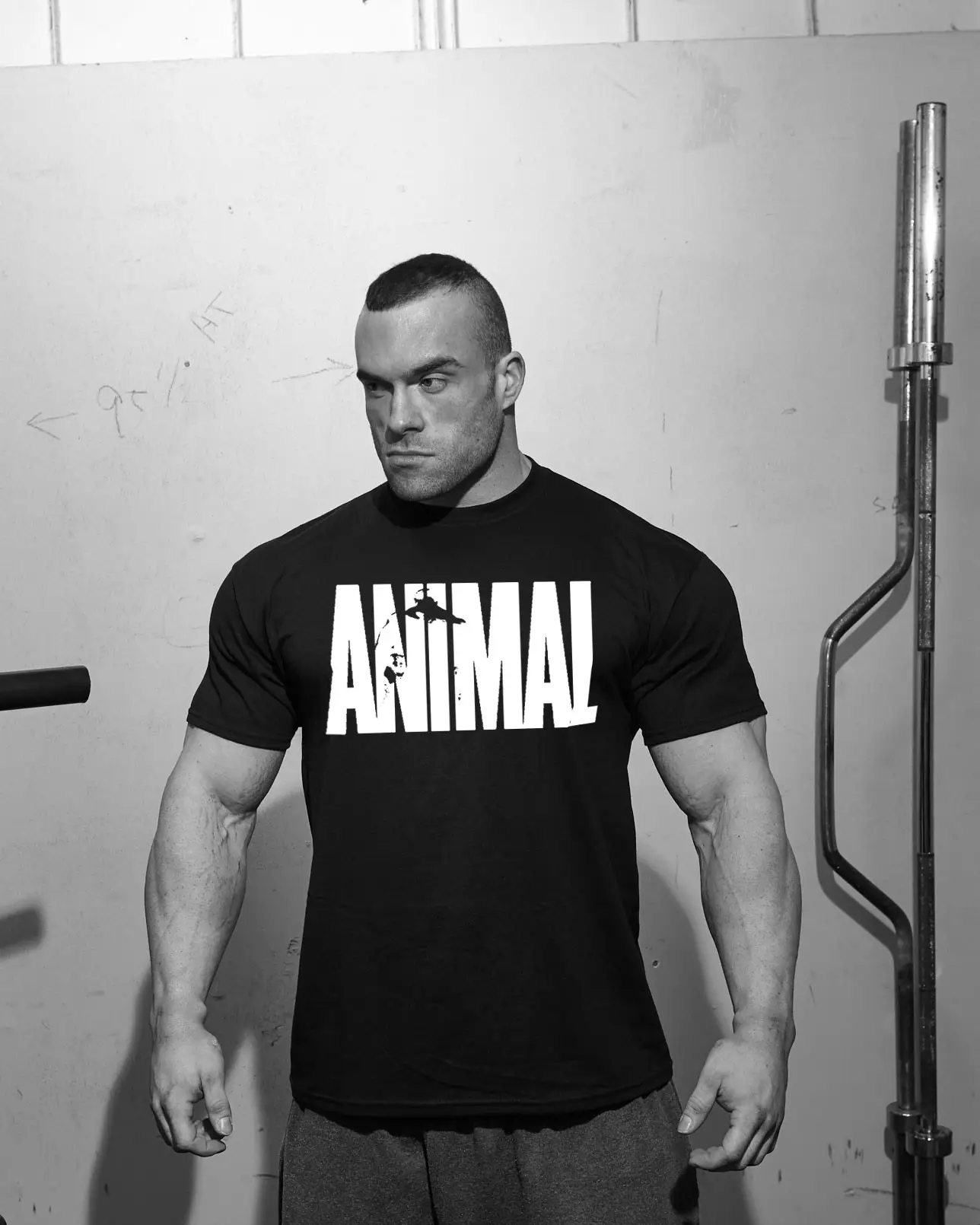 Men's Blue ANIMAL Graphic T-Shirt Fitness Casual - Image 10