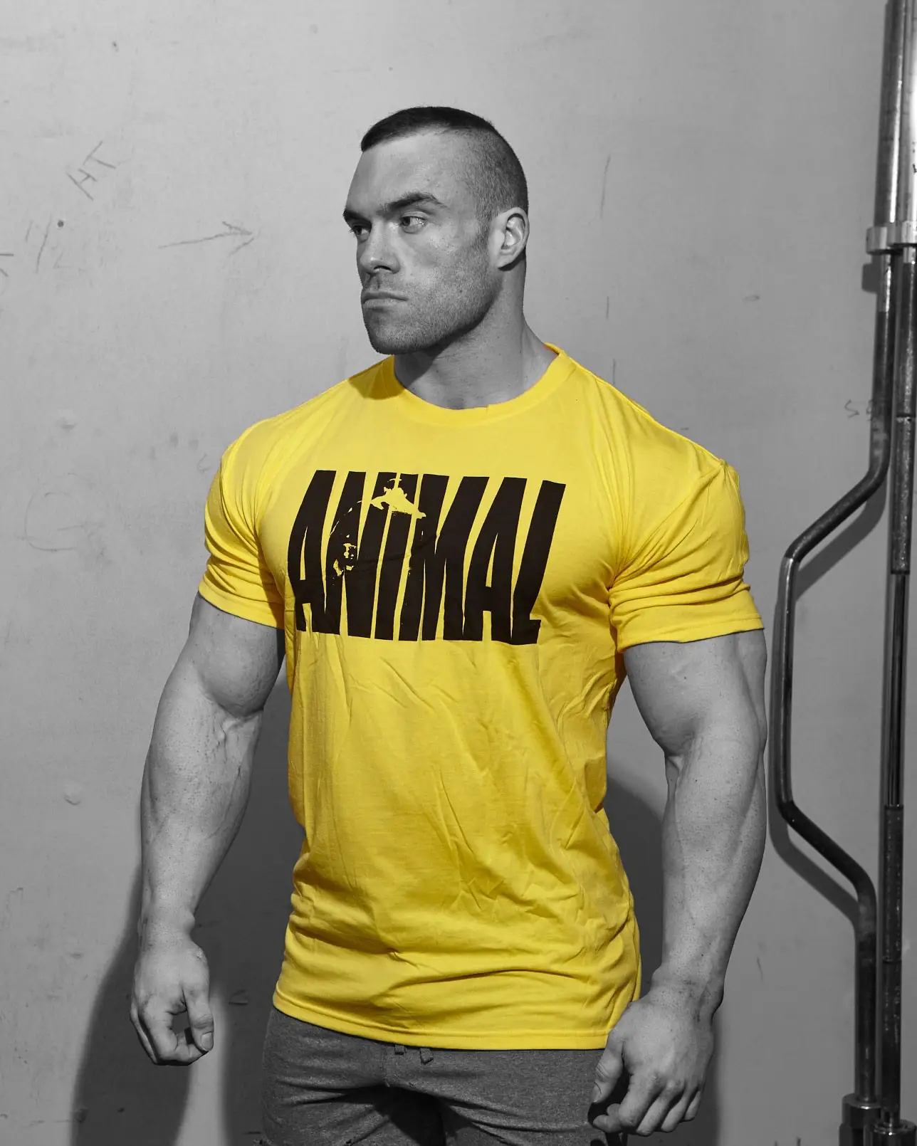 Men's Blue ANIMAL Graphic T-Shirt Fitness Casual - Image 11
