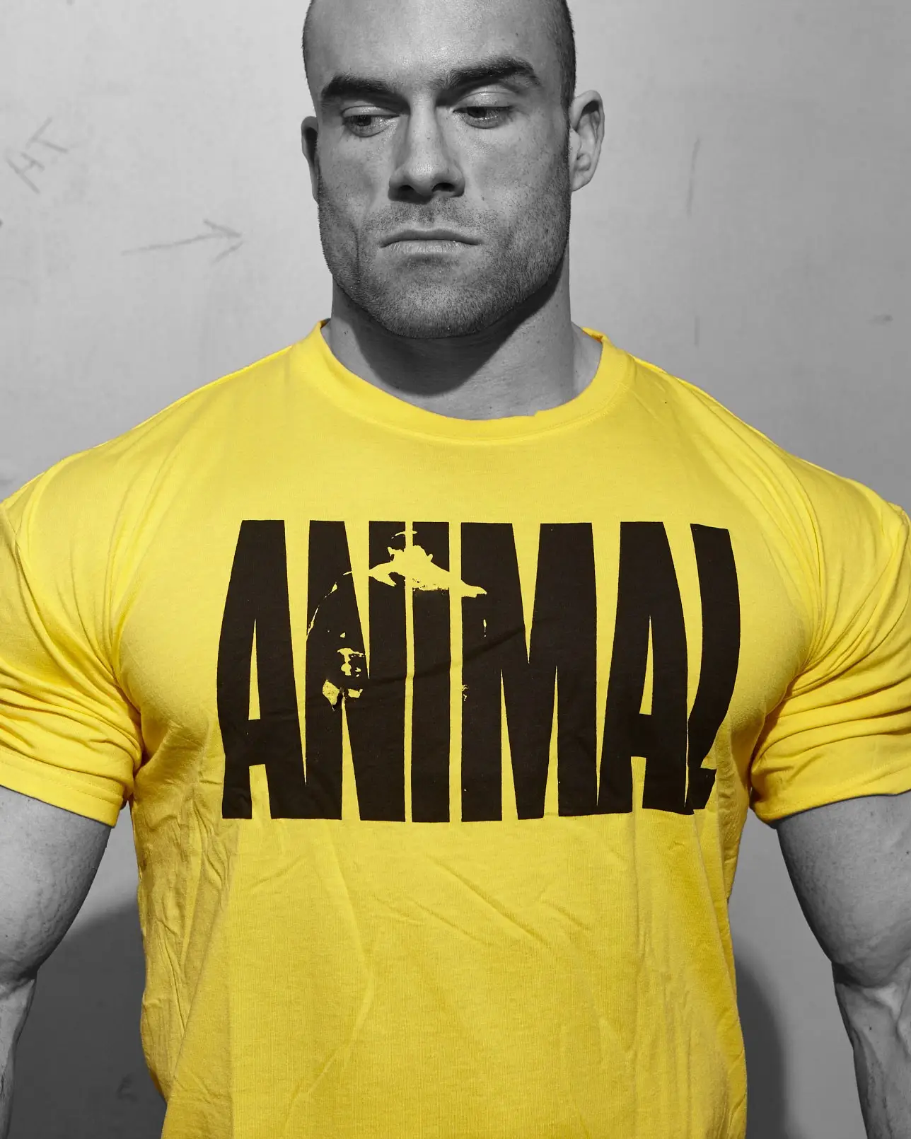 Men's Blue ANIMAL Graphic T-Shirt Fitness Casual - Image 12
