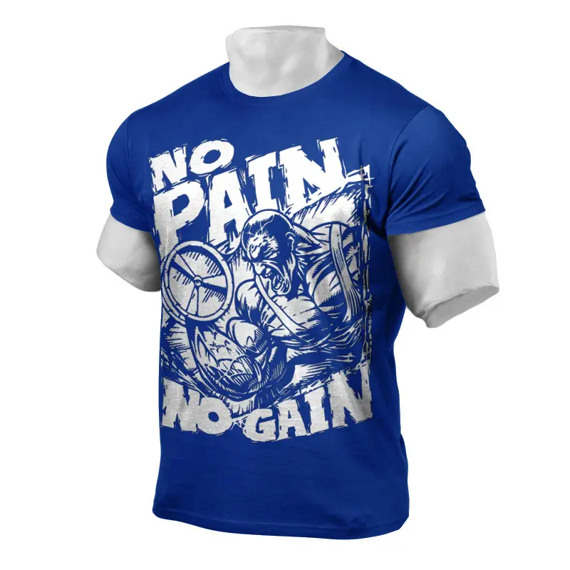 Men's Blue No Pain No Gain Fitness T-Shirt 2020 - Image 5