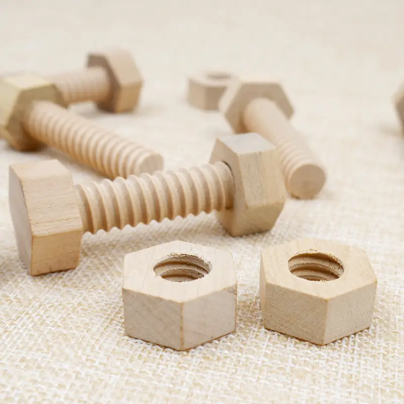 Wooden Screw Nut Puzzle for Kids Early Education