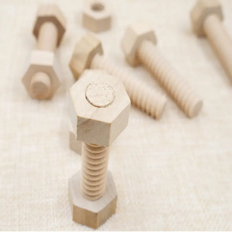 Wooden Screw Nut Puzzle for Kids Early Education