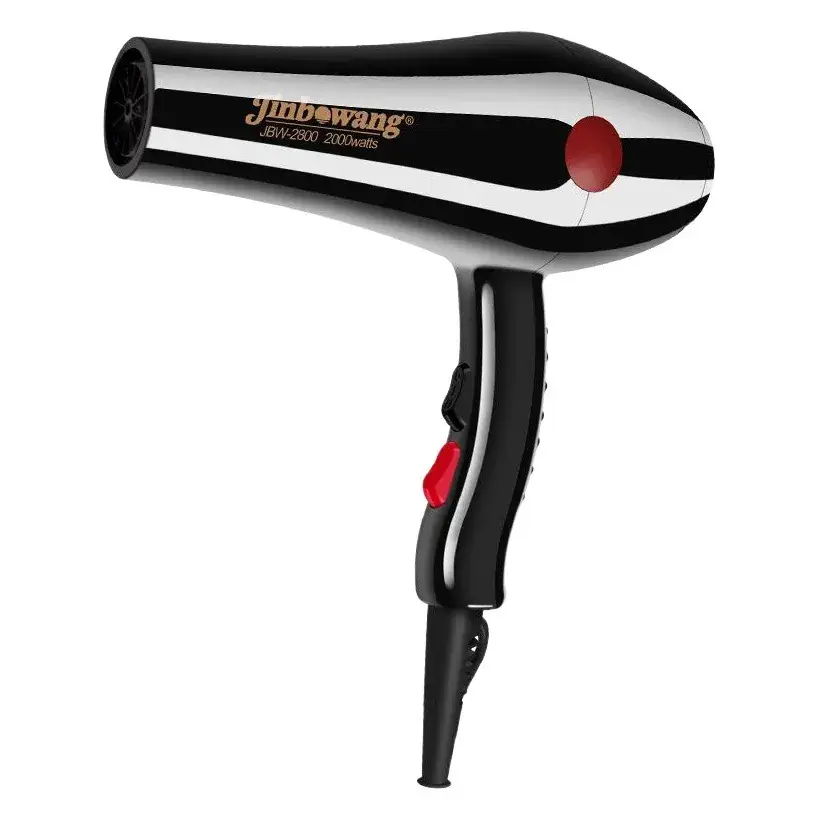 2000W Hair Dryer for Hair Salon Professionals