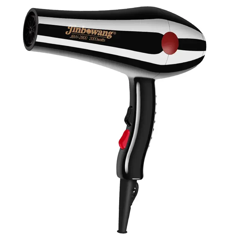2000W Hair Dryer for Hair Salon Professionals - Image 3