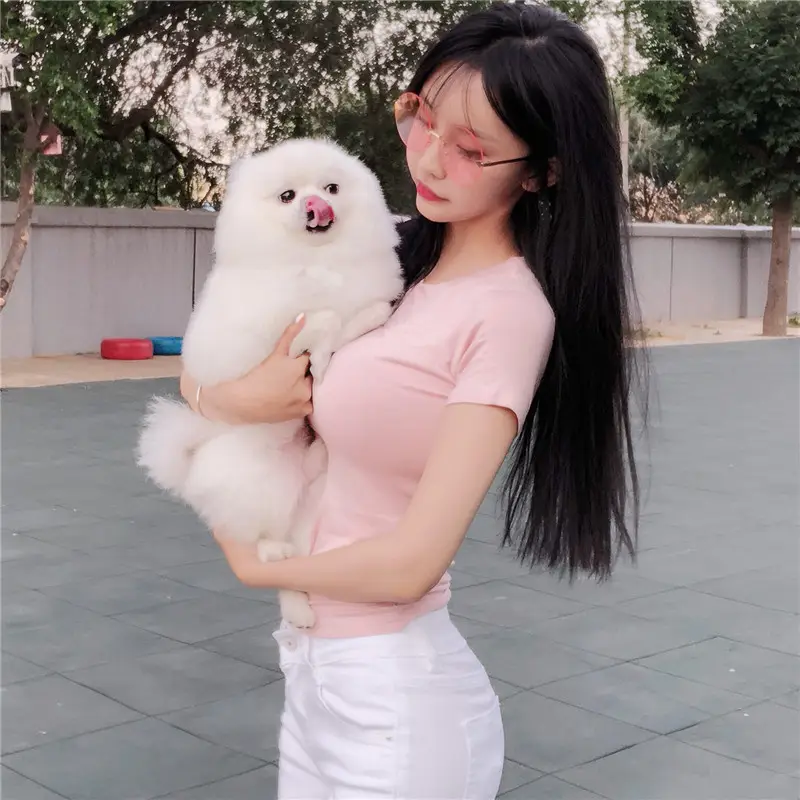 Korean New Summer T-Shirt Tight Fitting Bust Reveal