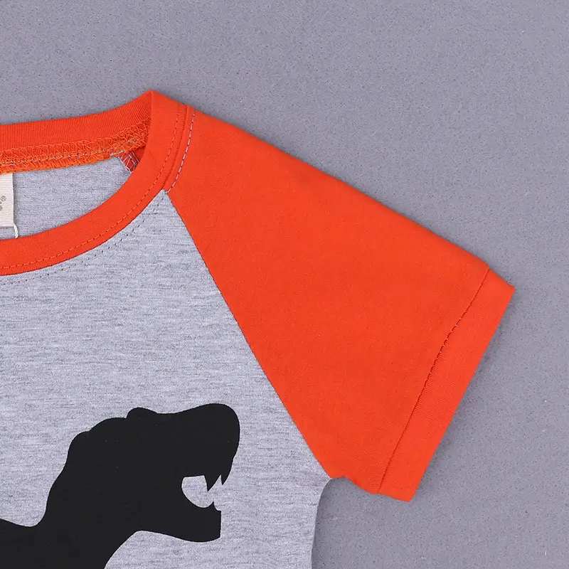 Kids Dinosaur T-Shirt Shorts Set Gray Black - Image 16