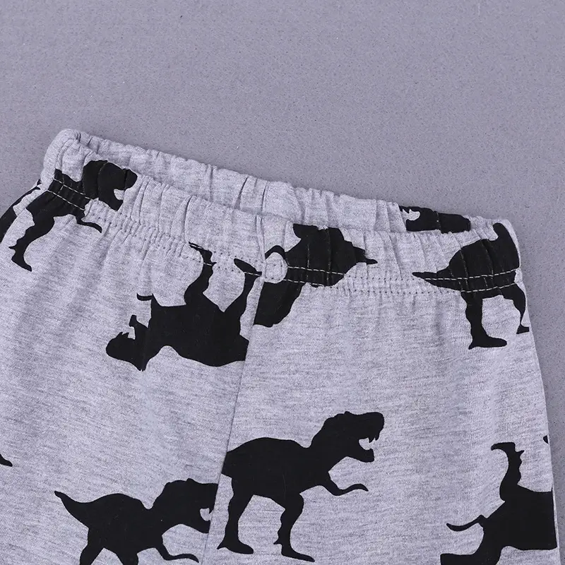 Kids Dinosaur T-Shirt Shorts Set Gray Black - Image 18
