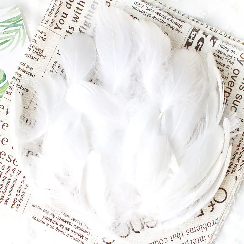 50 Pcs Colorful Feather DIY Decoration for Kids