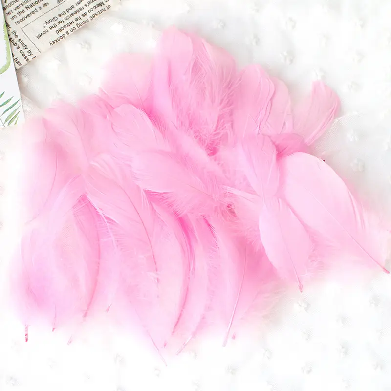 50 Pcs Colorful Feather DIY Decoration for Kids