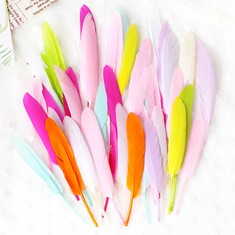 50 Pcs Colorful Feather DIY Decoration for Kids