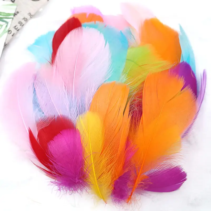 50 Pcs Colorful Feather DIY Decoration for Kids