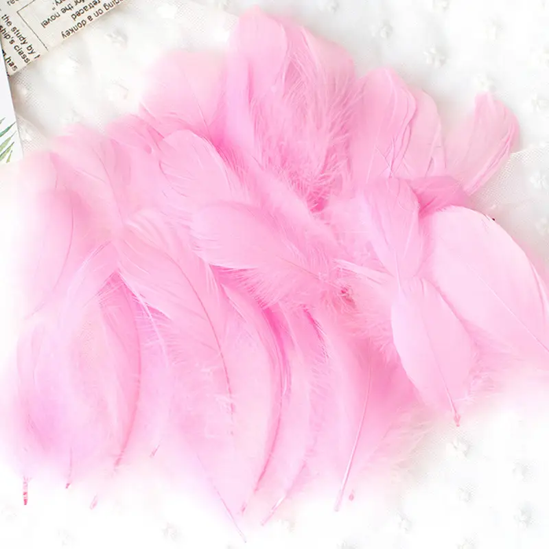50 Pcs Colorful Feather DIY Decoration for Kids