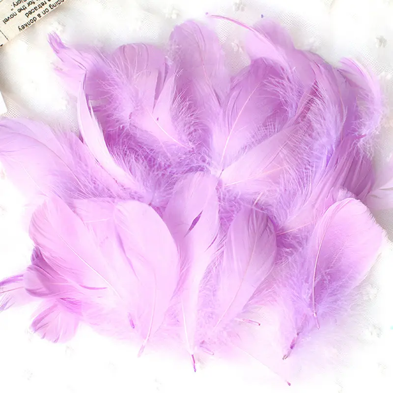 50 Pcs Colorful Feather DIY Decoration for Kids