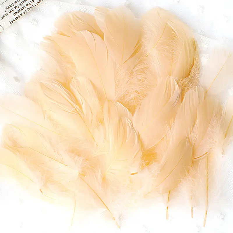 50 Pcs Colorful Feather DIY Decoration for Kids