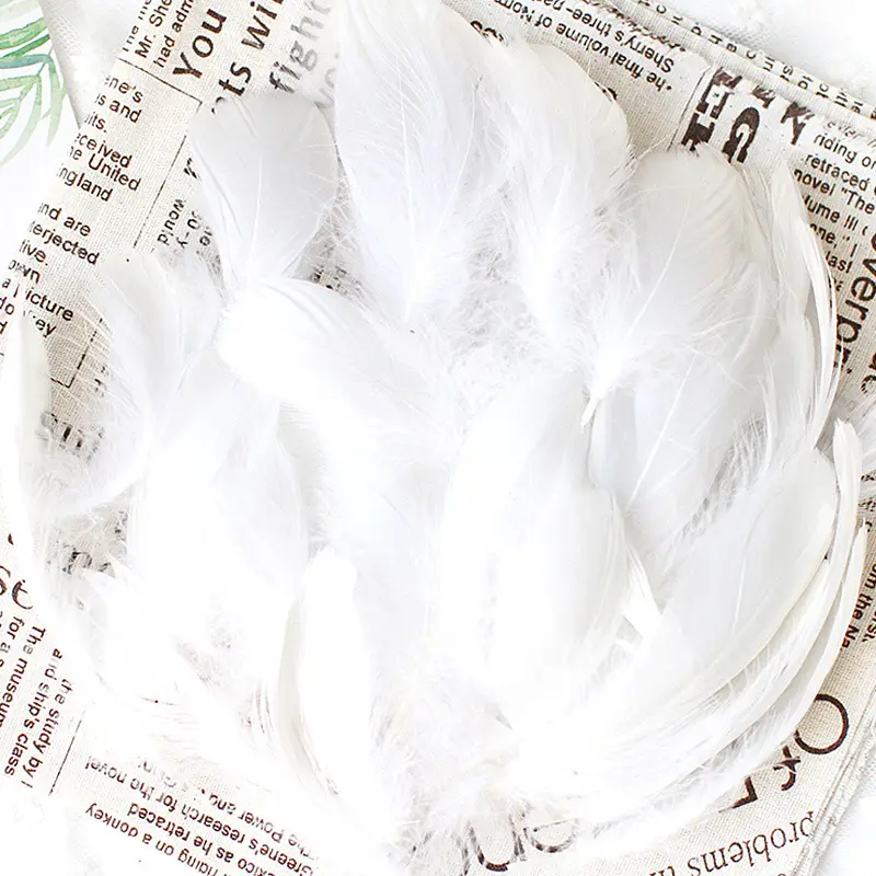 50 Pcs Colorful Feather DIY Decoration for Kids