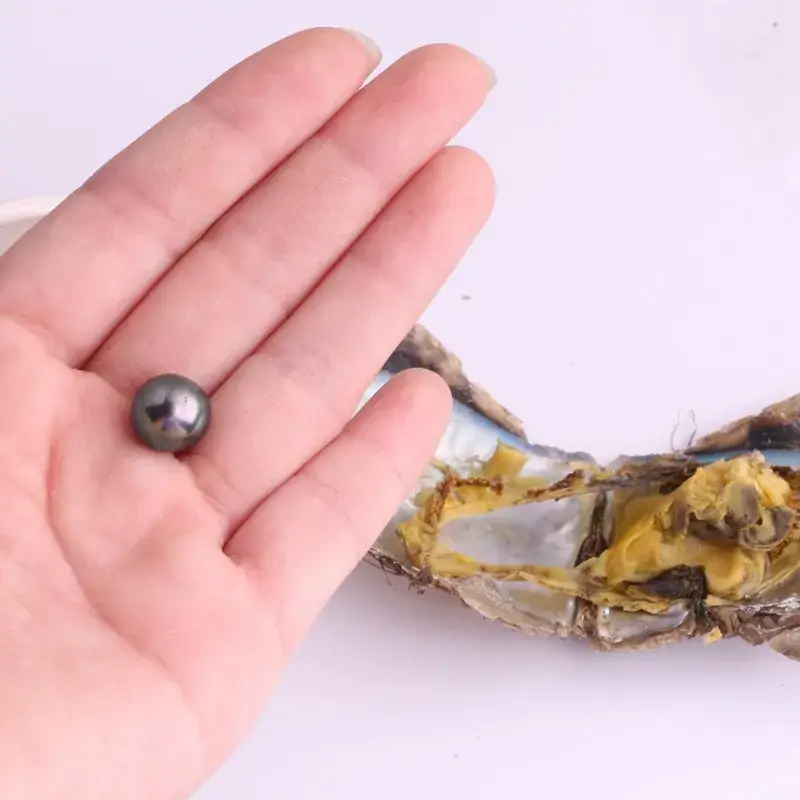 Black Sea Water Pearl Plug for Wholesale