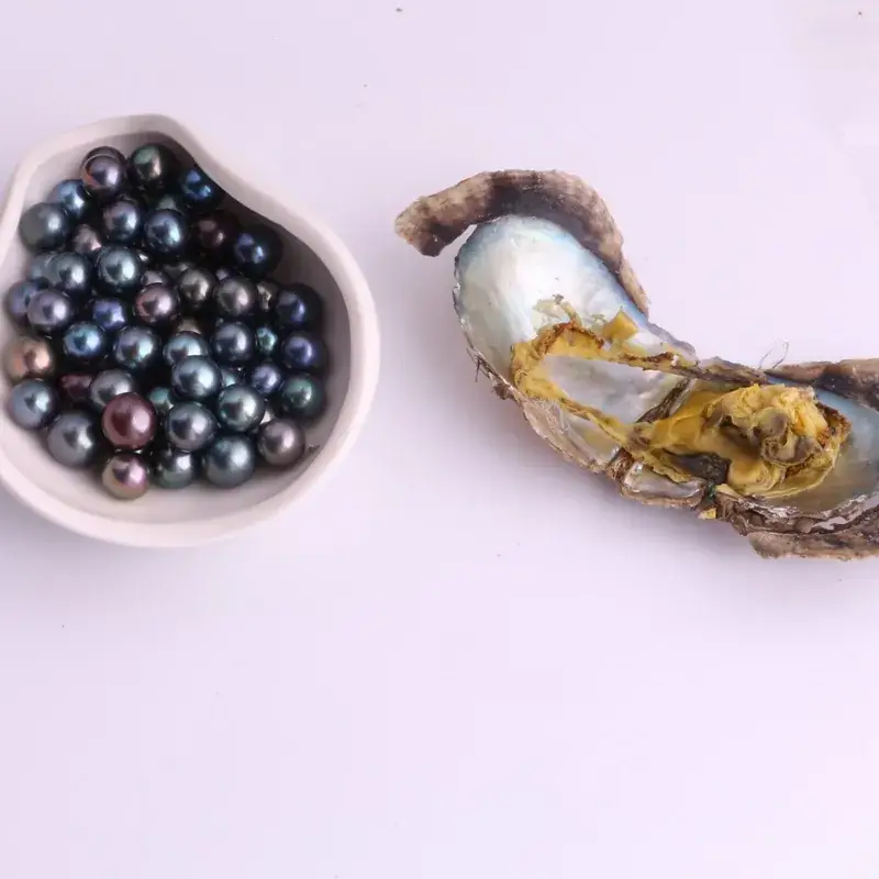 Black Sea Water Pearl Plug for Wholesale